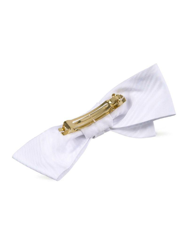 ゼブリス バレッタ | ACCA